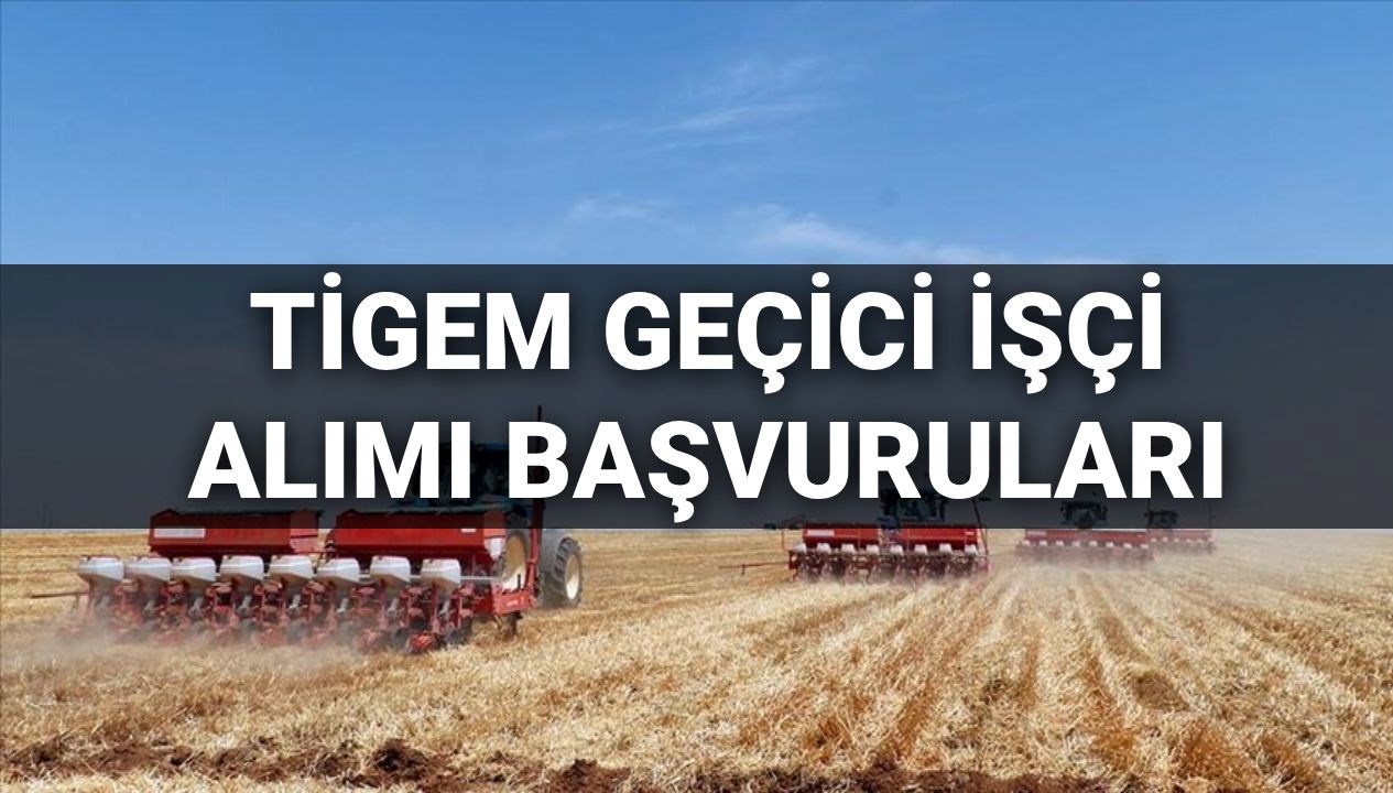 TİGEM 306 süreksiz emekçi alımı müracaatları 2025: TİGEM personel alımı müracaatları nasıl yapılır, kaideler neler? (İŞKUR müracaat ekranı) 71 tigem 306 sureksiz emekci alimi muracaatlari 2025 tigem personel alimi muracaatlari nasil yapilir kaideler XpPn9vlI