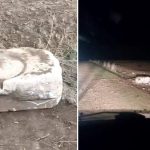 tiktoktan canli yayin acan define avcilarina sucustu ij21SG4q