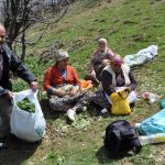 toplamak icin 5 saat yol yuruyorlar kilosu 250 lira yuzlerce ailenin gecim kaynagi vxaskwbx