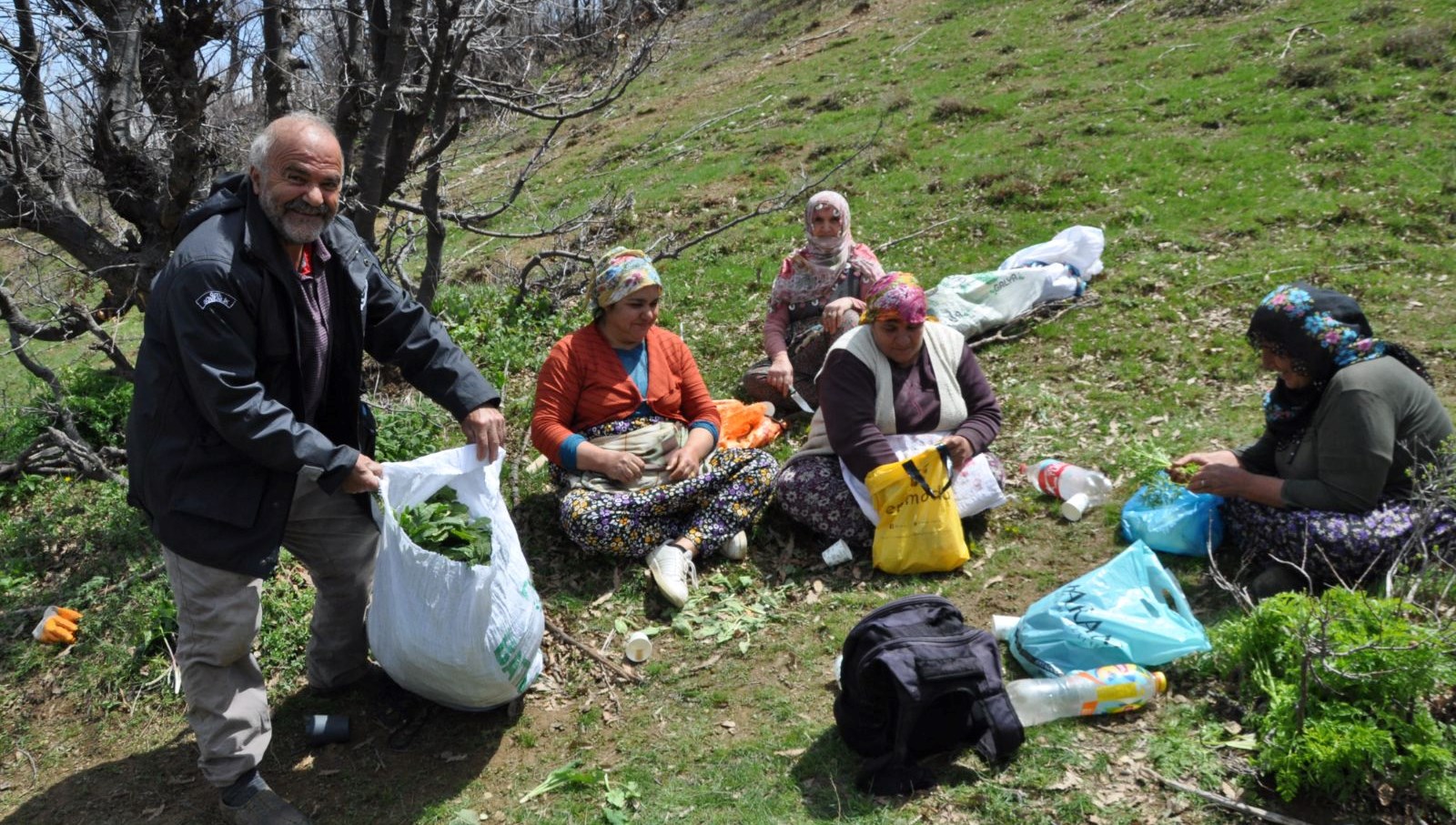 toplamak icin 5 saat yol yuruyorlar kilosu 250 lira yuzlerce ailenin gecim kaynagi