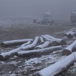 trakyada nisan karikirklarelinin yuksek bolumleri beyaza burundu jGA1yb4A