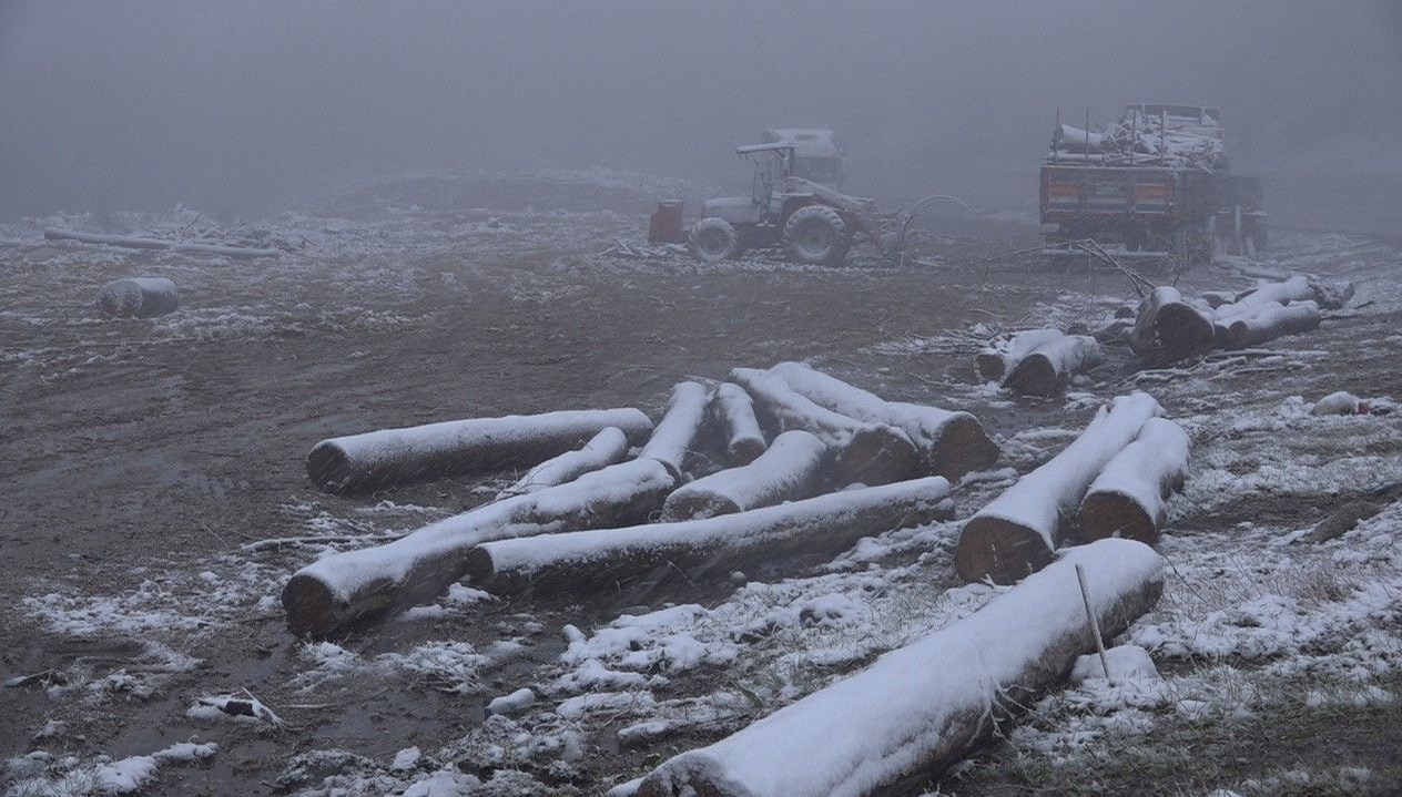 trakyada nisan karikirklarelinin yuksek bolumleri beyaza burundu jGA1yb4A