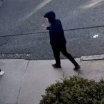 turk ogrenci rumeysa ozturk gozaltinda uc kere astim krizi gecirmis mkUHSyFg