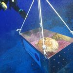 turkiye sinirinda heyecanlandiran kesif dunyada bir esi yok xSJNHPBR