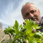 turkiyenin dort bir yanindaki daglari geziyor bitkilerin frekanslarini olcuyor r949GKSA