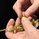 valilikten zirai don uyarisi s7ZVH5KX