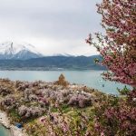 vanin akdamar adasina ziyaretci yagdi xqDh9ciZ