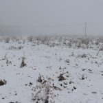 yagmur yerini kar yagisina birakti agri beyaza burundu OJsb2N31