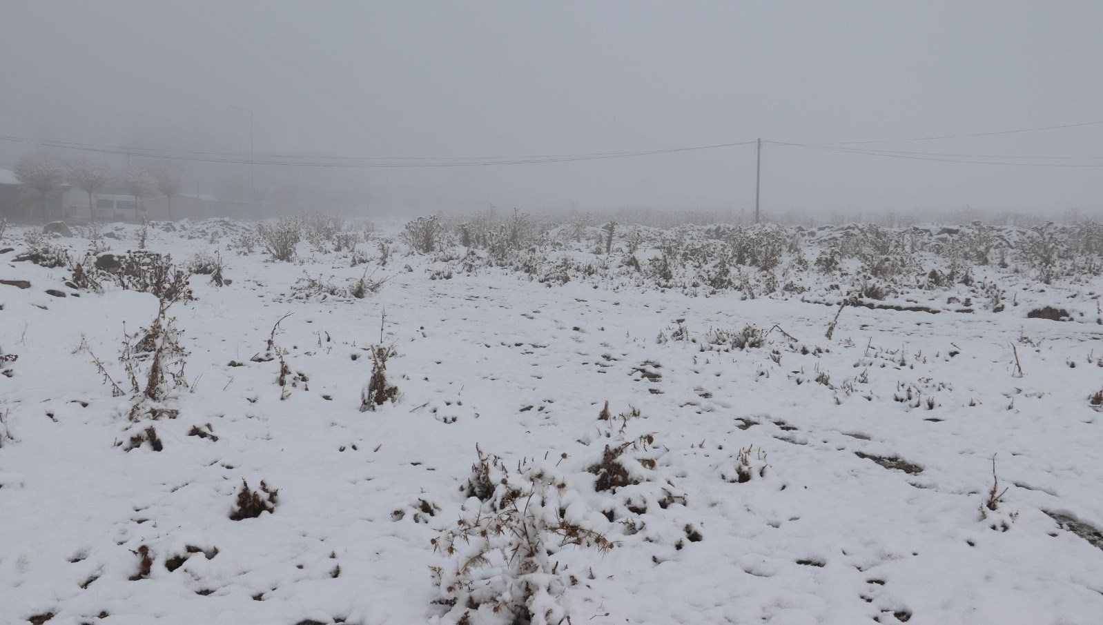 Yağmur yerini kar yağışına bıraktı: Ağrı beyaza büründü 71 yagmur yerini kar yagisina birakti agri beyaza burundu OJsb2N31