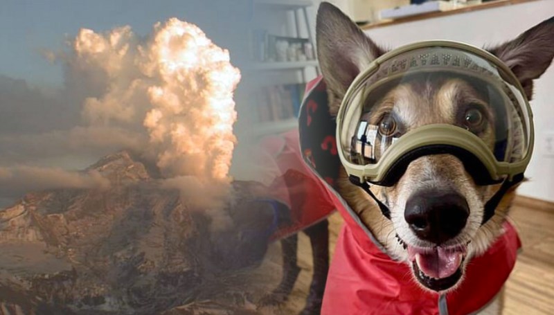 Yanardağ patlamaya hazır: 300 bin kişi felakete hazırlanıyor 71 yanardag patlamaya hazir 300 bin kisi felakete hazirlaniyor nDIViVuh