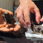 yapistiriciyla vefat tuzagi bu zalimliktir vlCKY4bs