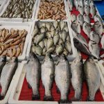 yasak basladi tezg hlar onlara kaldi GDitCIsv