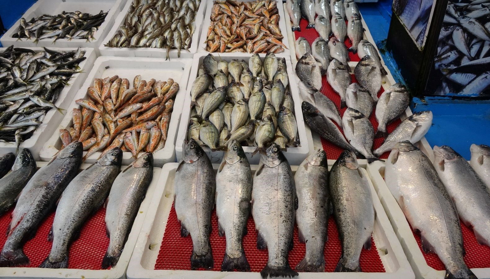 yasak basladi tezg hlar onlara kaldi GDitCIsv