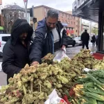 yayla muzu kanser tedavisinde umut i4EjGAbs