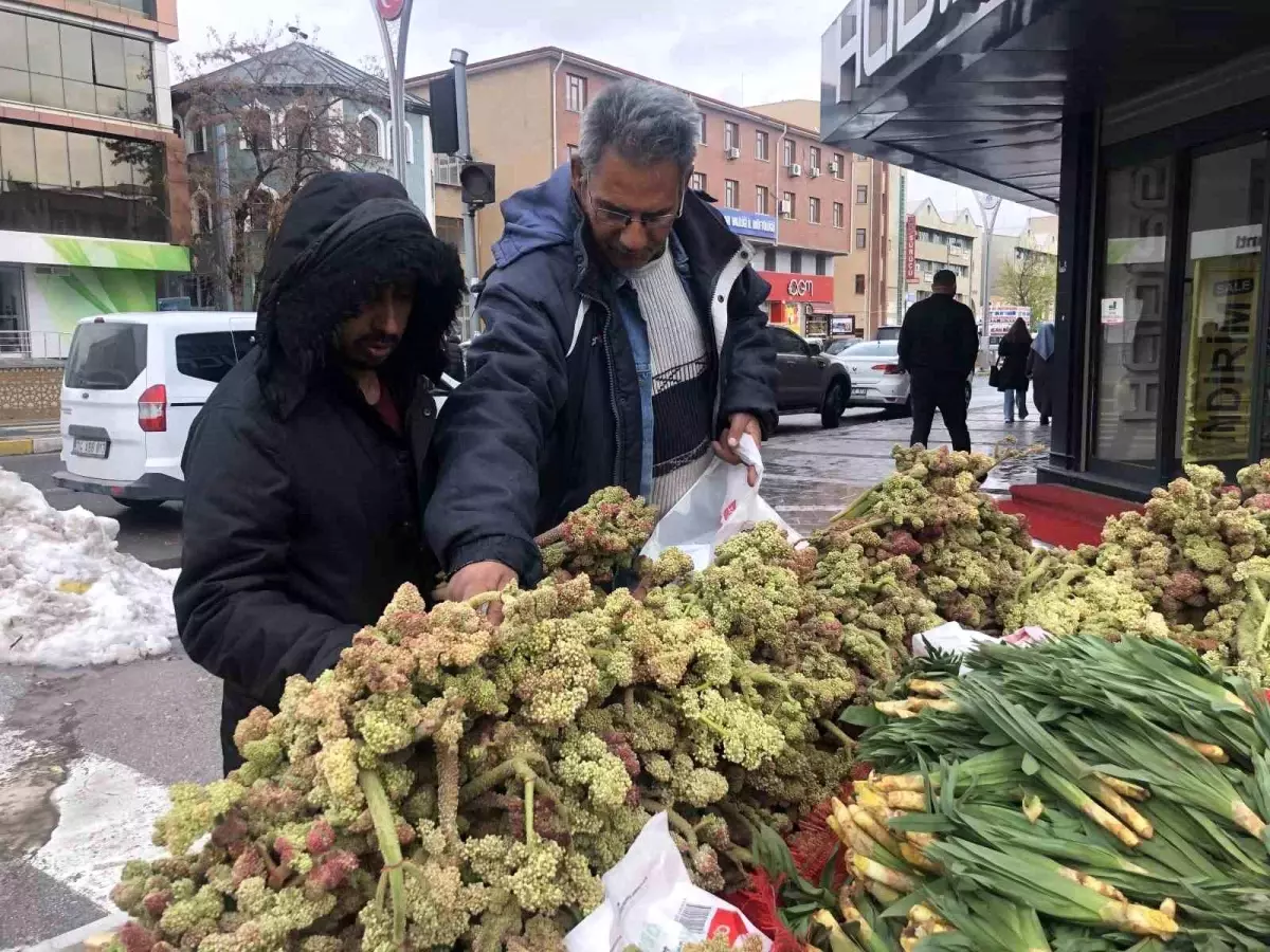 yayla muzu kanser tedavisinde umut i4EjGAbs