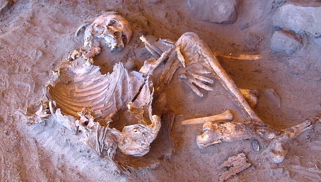 yeni mumya kesfi ortaya cikardi insanligin soy agaci degisiyor idbcBpAh