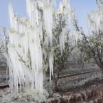 zirai don 34 ili vurdu bakan yumaklidan destek odemeleriyle ilgili aciklama KBSuhY3R