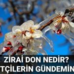 zirai don nedir ne demek ciftcilerin ziyani karsilanacak mi iste zirai don olan vilayetler LcgpFUQa