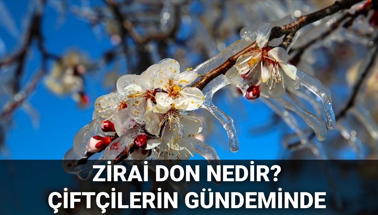 zirai don nedir ne demek ciftcilerin ziyani karsilanacak mi iste zirai don olan vilayetler LcgpFUQa