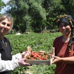 2 kiz kardes devlet dayanagiyla uretmeye basladi bolgedeki bayanlara da ornek oluyorlar xpHNpEmg