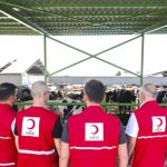 2025 kurbanlik fiyatlari aciklandi kizilay vekalet bedeli ne kadar oldu PAzFTW2N