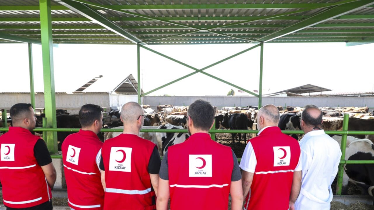 2025 kurbanlik fiyatlari aciklandi kizilay vekalet bedeli ne kadar oldu PAzFTW2N