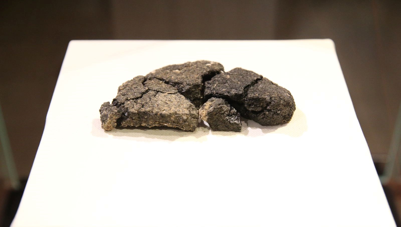 5 bin yıllık ekmek satışa sunuluyor 71 5 bin yillik ekmek satisa sunuluyor enJylHda