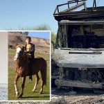 735 saatlik imgeler incelendi yaban cinayeti tek bir ileti cozdu olay yerine gel U5WiTCVc