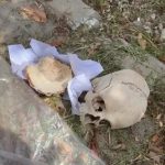 adanada copte dehset cocuga ait kafatasi bulundu 8XgY7RZq