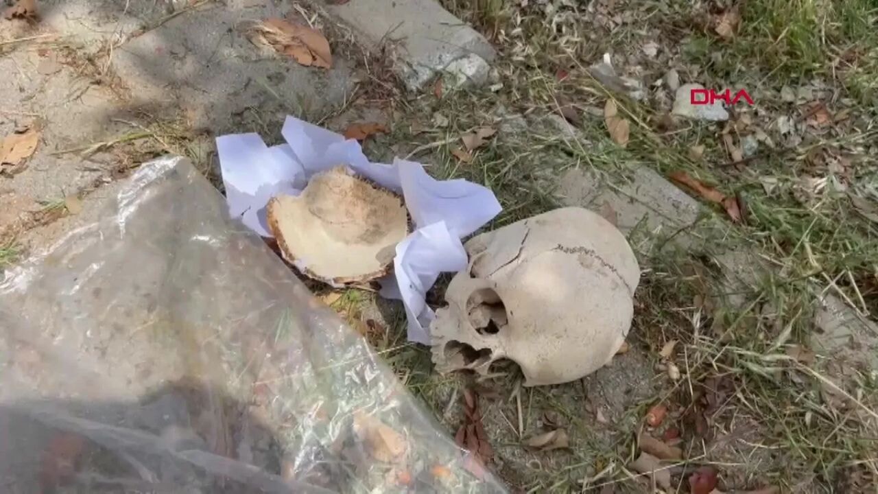 adanada copte dehset cocuga ait kafatasi bulundu 8XgY7RZq