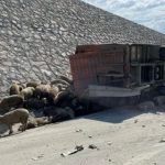 afyonkarahisarda dehset hayvan tasiyan kamyon devrildi FOvHkSCD