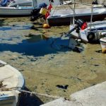 bakan kurumdan belediyelere musilaj uyarisi Vy4UI9g9