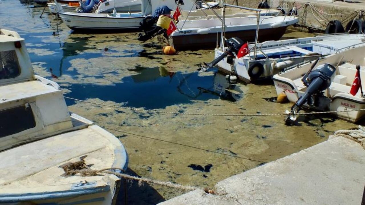 bakan kurumdan belediyelere musilaj uyarisi Vy4UI9g9