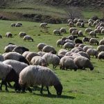 bakan yumakli dugmeye basti 329 proje icin dev hibe karari tJpJpygO