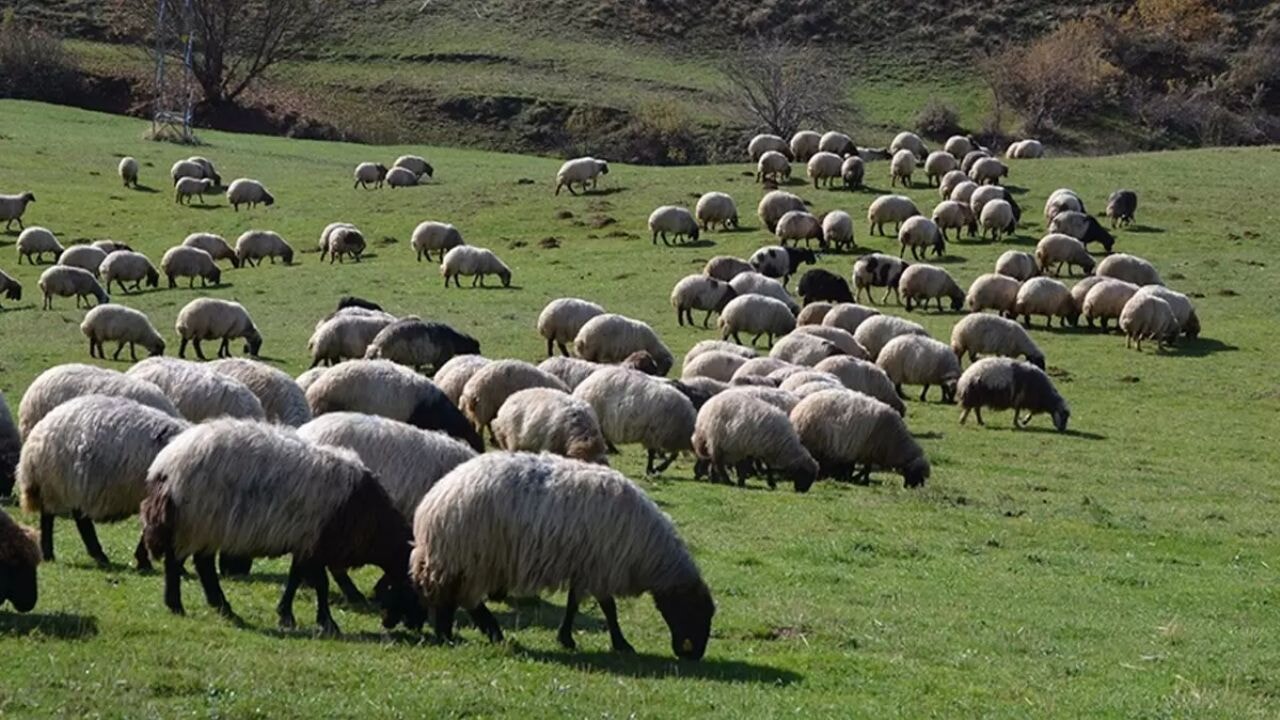 bakan yumakli dugmeye basti 329 proje icin dev hibe karari tJpJpygO