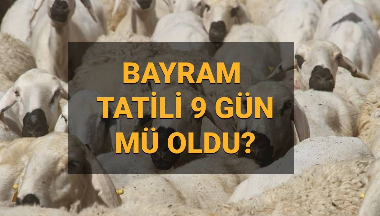 bayram tatili 9 gun mu oldu kurban bayrami tatili 9 gun mu kac gun pVBqdbv1