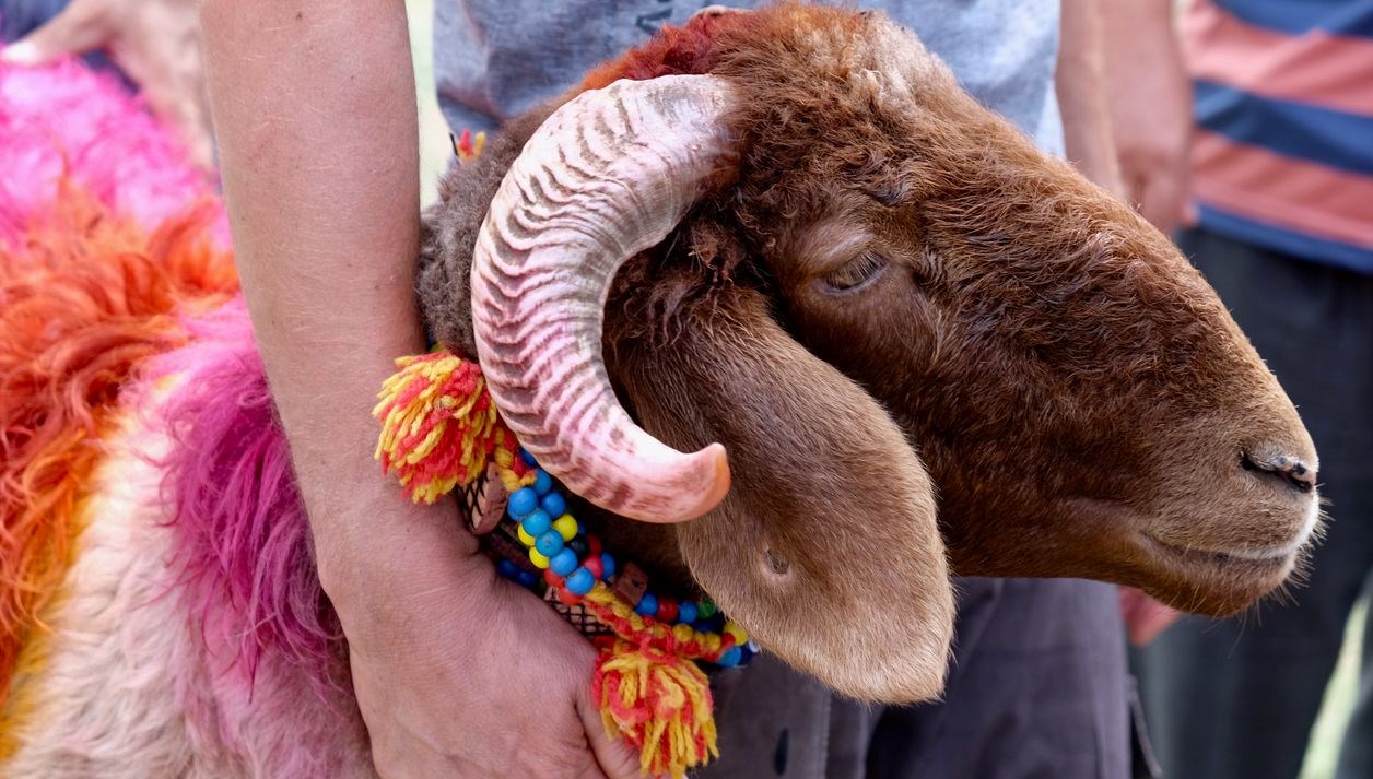 bayrama kac gun kaldi kurban bayrami 1 gunu ne vakit hangi gune denk geliyor dwRddJiK