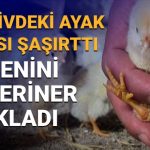 cankiridaki manzara sasirtmisti 4 ayakli civciv nasil olur sebebini veteriner acikladi bIp3VqQ4