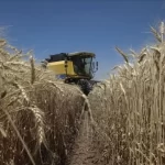 cumhurbaskanligi genelgesiyle tarim sayimi resmen baslatildi xHGknAU8