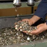 darphane ve damga matbaasinin isci alimi basvurulari basladi aSlYl4nC