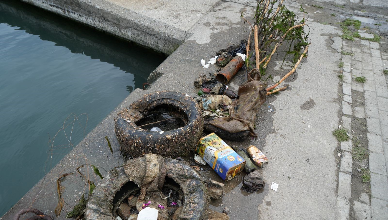 denizden cikti lastik tekerlekler teneke kutular cam siseler ltmXlY8E