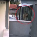 doktorun oldurdugu iddia edilen kopek sayisi 26ya ulasti At2CbXsY