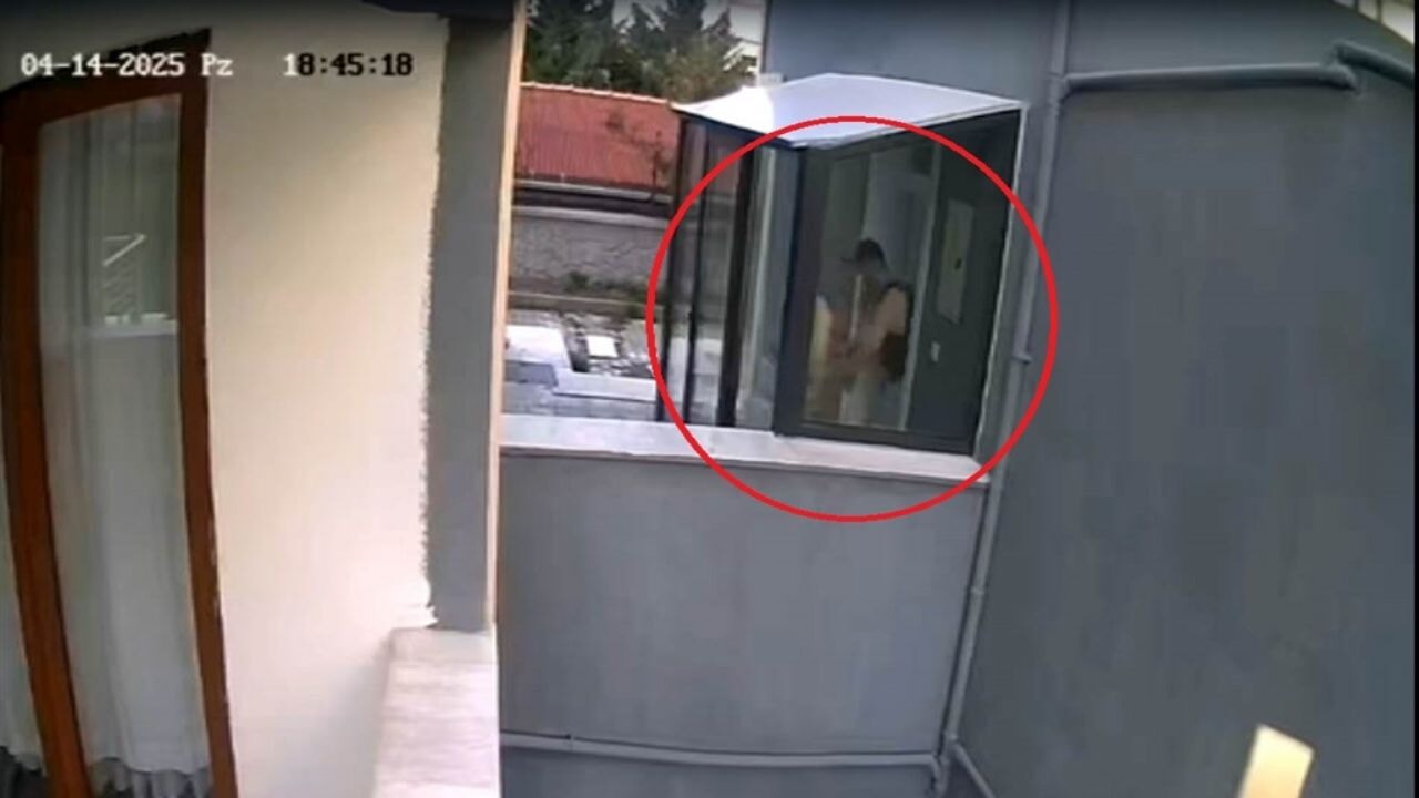 doktorun oldurdugu iddia edilen kopek sayisi 26ya ulasti At2CbXsY