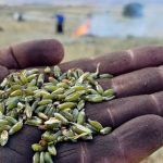 firik donemi basladi tadini damakta birakiyor 4f8YgCl7