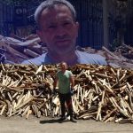 gunde 12 yumurta yiyip odun kiriyor ayda 80 bin lira kazaniyor w317CqQt