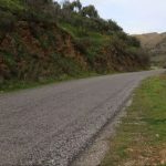 hatayda karantina uygulamasi kuduz tespit edilen kopek panige yol acti QrPFj5WF