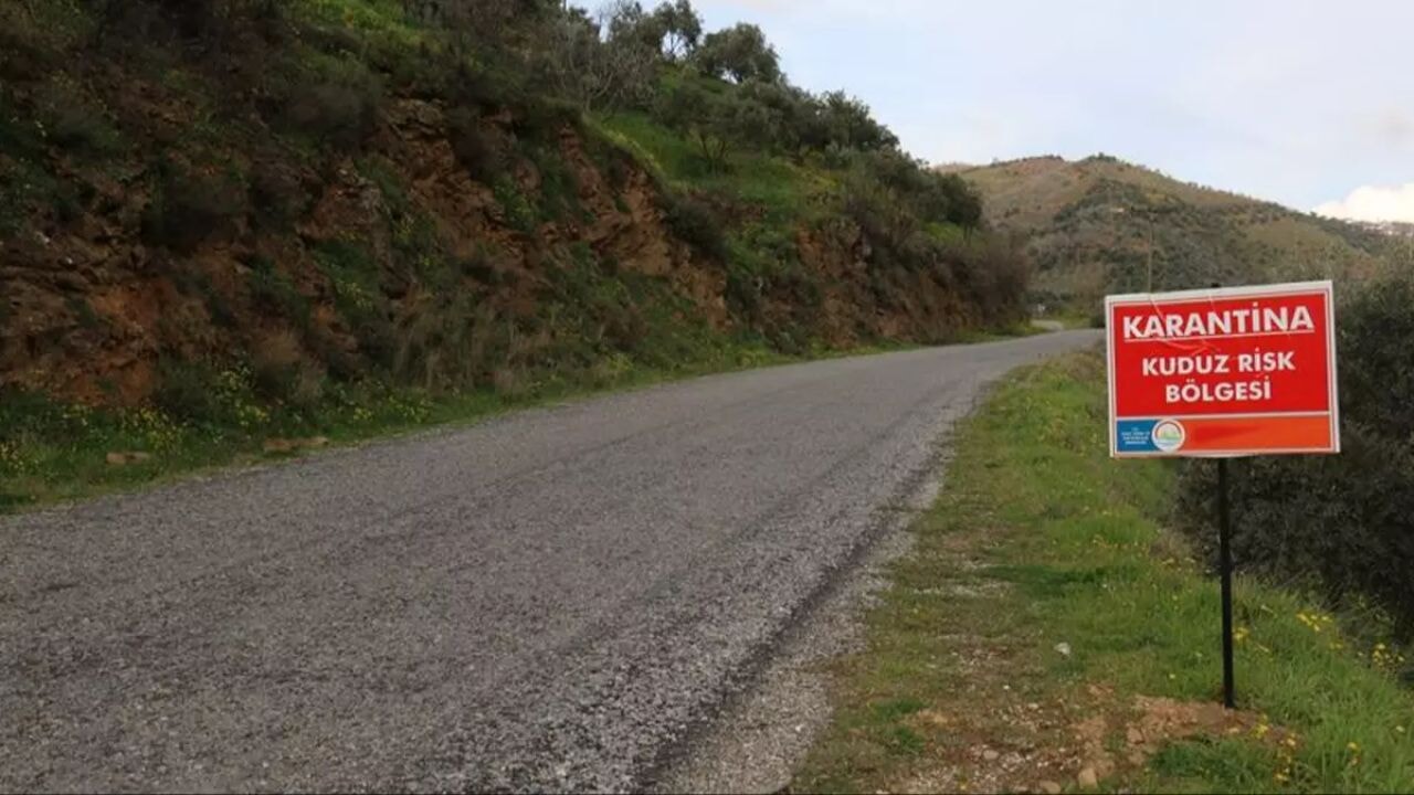 hatayda karantina uygulamasi kuduz tespit edilen kopek panige yol acti QrPFj5WF