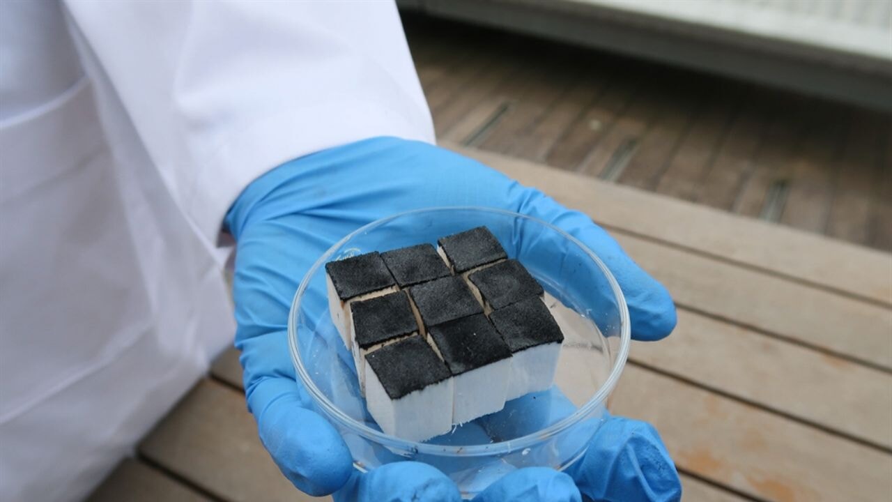 havadan su ureten agactan sunger gelistirildi pUJAC7ds