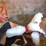 kadinsin yapamazsin dediler ciftlik kurdu GG7K28Bl