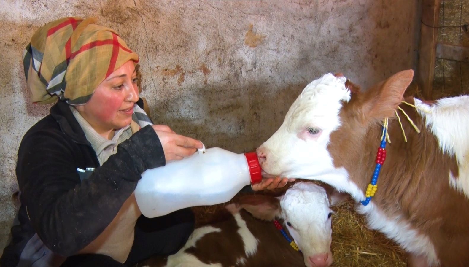 kadinsin yapamazsin dediler ciftlik kurdu GG7K28Bl